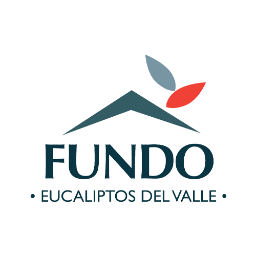 fundo-eucaliptos-del-valle